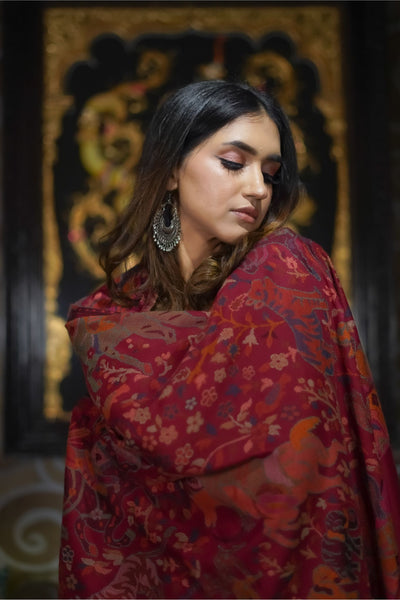 Woman wearing elegant Pashmina Stories Shawl