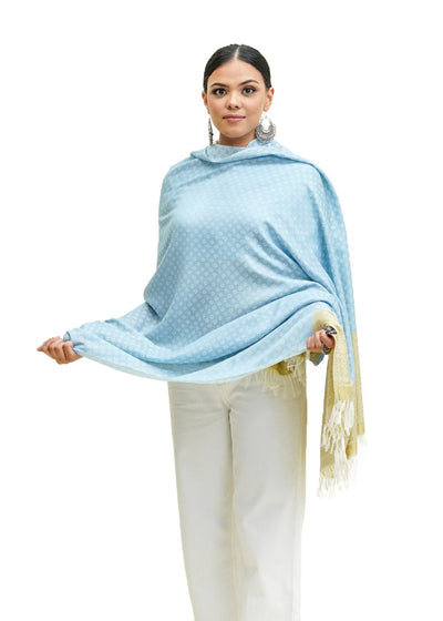 SILK WOOL JACQUARD SHAWL WITH ELEGANT PALLA