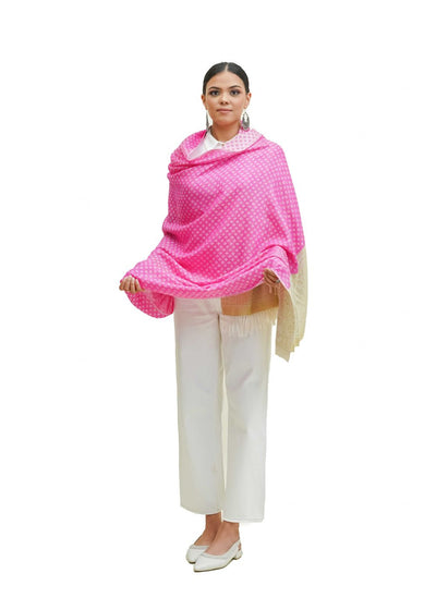 SILK WOOL JACQUARD SHAWL WITH ELEGANT PALLA