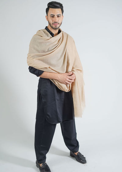 MELANGE KANI PALLA WOVEN JACQUARD WOOLLEN SHAWL