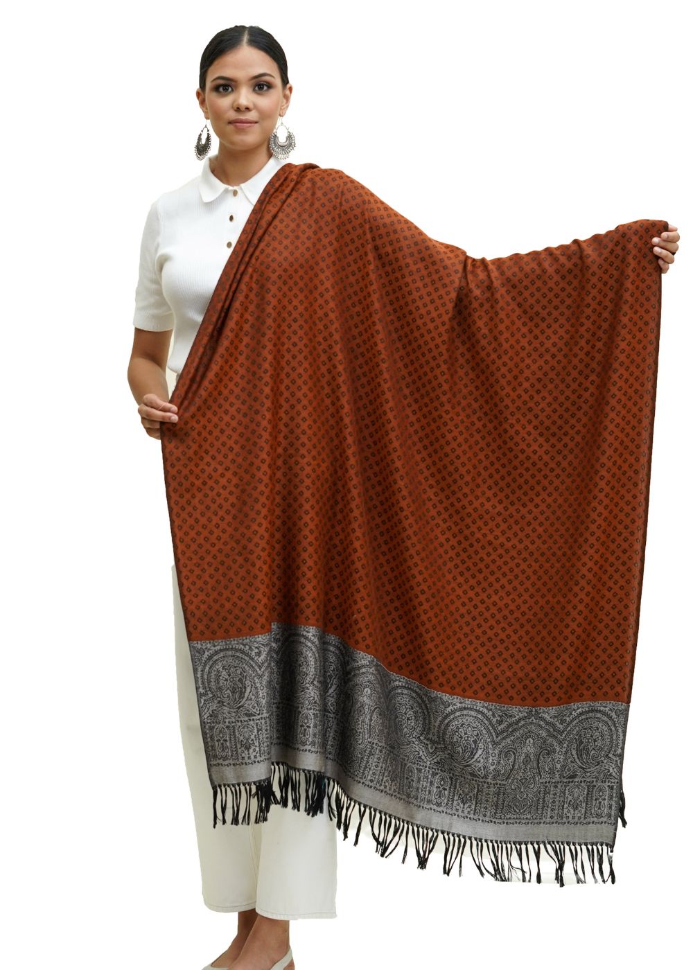 SILK WOOL JACQUARD SHAWL WITH ELEGANT PALLA