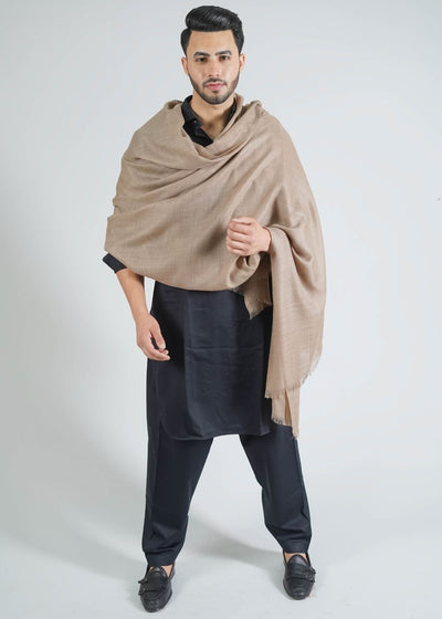 MELANGE KANI PALLA WOVEN JACQUARD WOOLLEN SHAWL