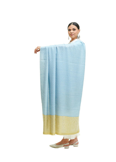 SILK WOOL JACQUARD SHAWL WITH ELEGANT PALLA