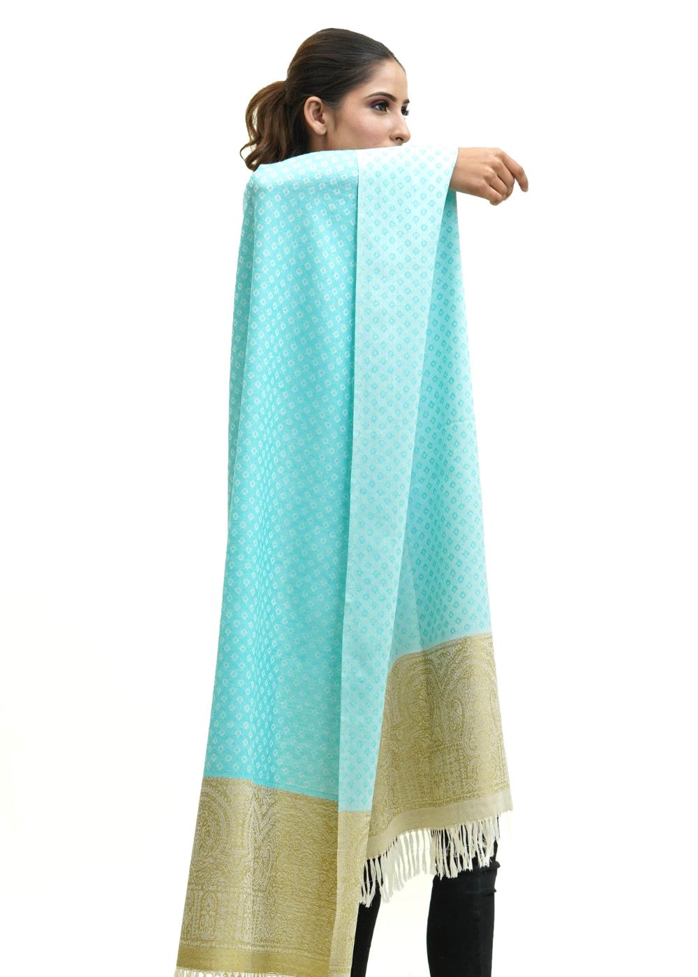 SILK WOOL JACQUARD STOLE WITH ELEGANT PALLA