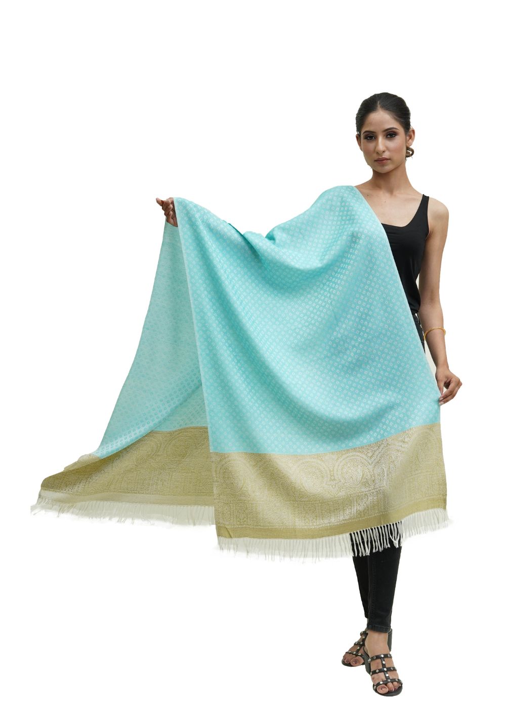 SILK WOOL JACQUARD STOLE WITH ELEGANT PALLA