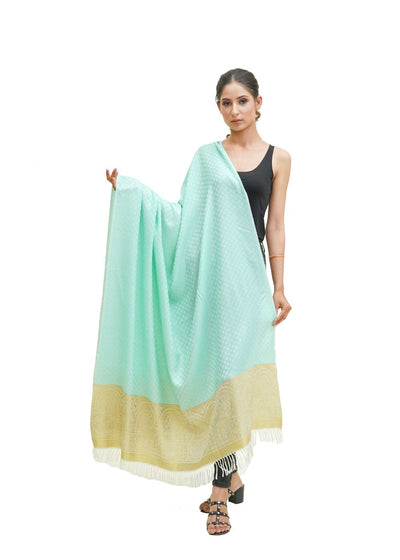 SILK WOOL JACQUARD SHAWL WITH ELEGANT PALLA