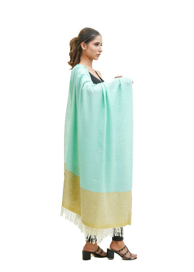 SILK WOOL JACQUARD SHAWL WITH ELEGANT PALLA