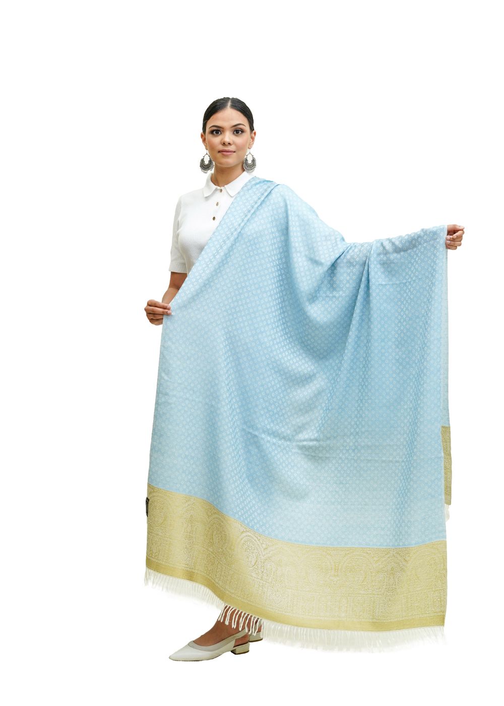 SILK WOOL JACQUARD SHAWL WITH ELEGANT PALLA