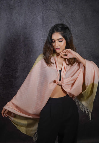 SILK WOOL JACQUARD SHAWL WITH ELEGANT PALLA